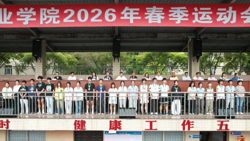 图片13_副本.png
